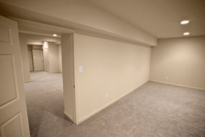 Basement Finishing